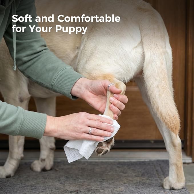 600 Count Dog Wipes, Pet Wipes for Dogs & Cats, Hypoallergenic, Fragrance-Free Grooming Wipes for Cleaning & Hydrating Paws, Body & Butt | Sensitive Skin with Aloe Vera - Unscented