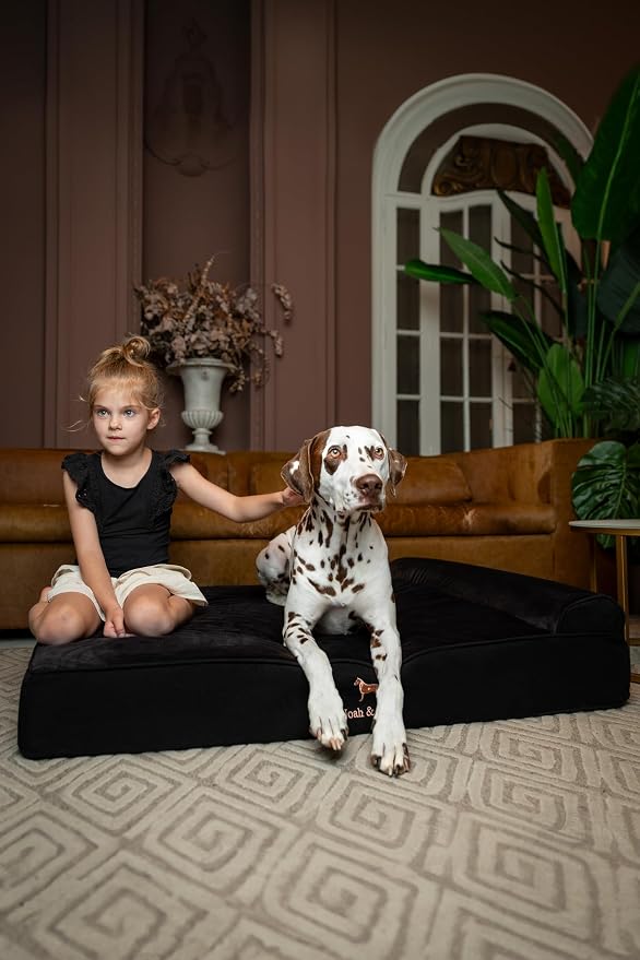 NOAH & PAW XL Dog Bed, 45x35x9.1 Inch, Orthopedic Large Dog Beds, Eggshell Memory Foam Infused with Cooling Gel, Water Resistant, Machine Washable, Includes Inner Cover (Denim Collection)