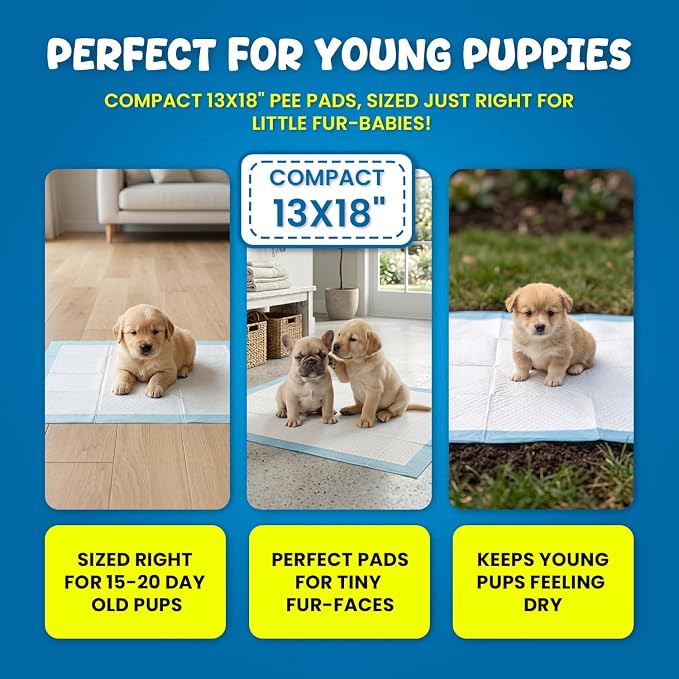FPN Puppy Pads for Dogs 500 Count 13x18 Inch Heavy Duty Training Pads | 5 Layer Instant Absorbent Dog Pee Pads for Puppy Training, Pet Care & Indoor Potty Protection
