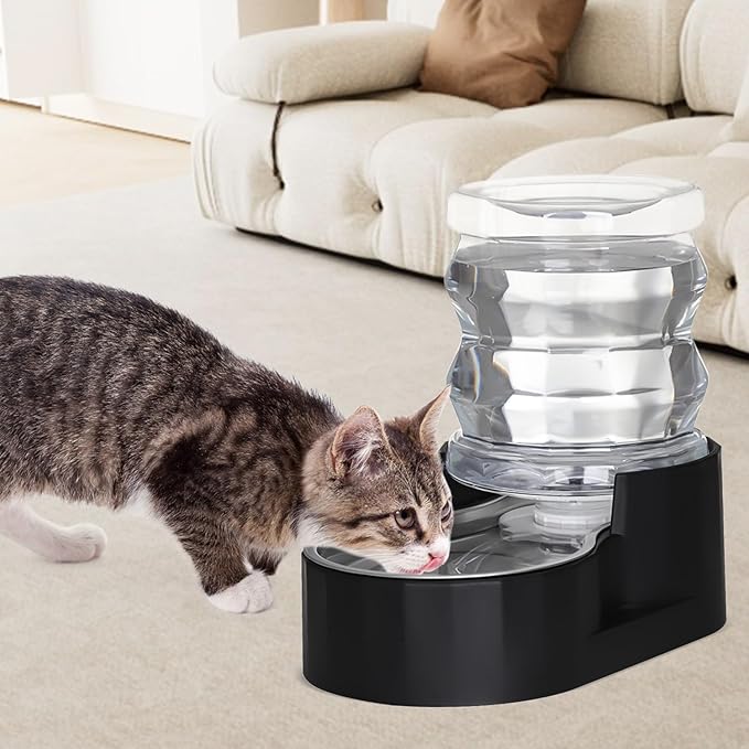 RIZZARI Black 4L Gravity Pet Water Dispenser with Stainless Steel Bowl - Activated Carbon & Ion Exchange Filter to Soften Water & Reduce Odor, Supports Urinary Health, for Garden or Study Room