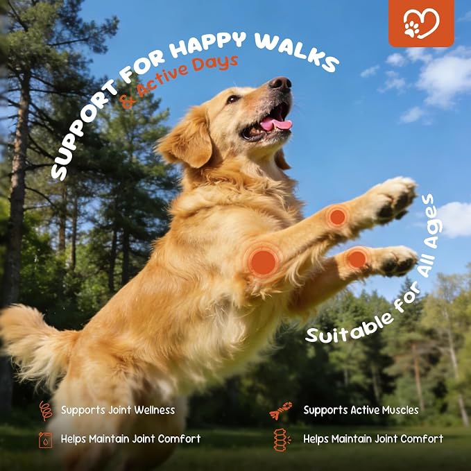 Dog Joint Support Supplement – Glucosamine, Chondroitin & MSM for Hip & Joint Function Support, Flexibility, and Daily Activity – 90 Soft Chews
