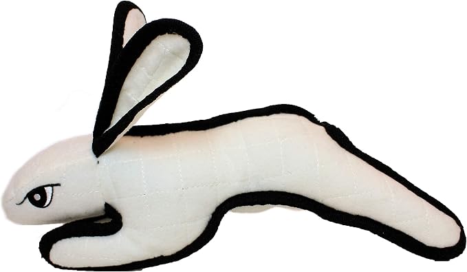 TUFFY® : 2 Pack Rabbit Dog Toy: Ultra Durable Plush Toy with Multiple Layers & Reinforced Seams, Washable and Floats, Original Construction
