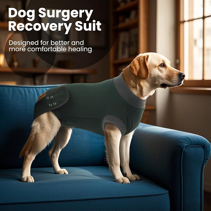 IDOMIK Dog Recovery Suit - Female Spay & Male Neuter Onesie, Anti-Licking Post Surgery Suit, Breathable & Comfortable, XL (Chest Girth:26.77"-31.50"), Dark Green