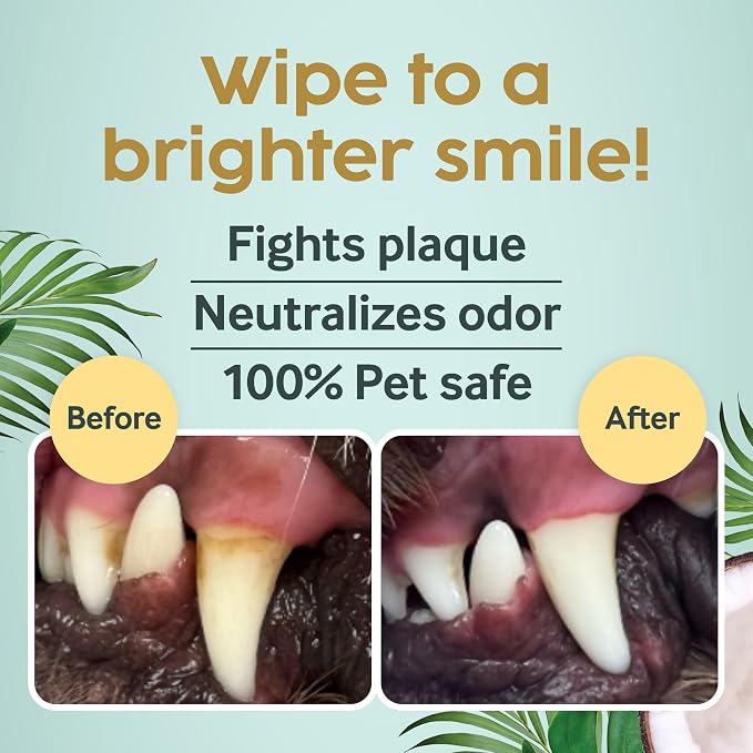 Cocopup Dog Teeth Cleaning Wipes | Pet Dental Finger Wipes | Dogs and Cats Tooth Cleaning Pads Plaque Remover Ear Nose Paws Fur Cleaners | Contains Coconut Oil | 3 Pack of 50