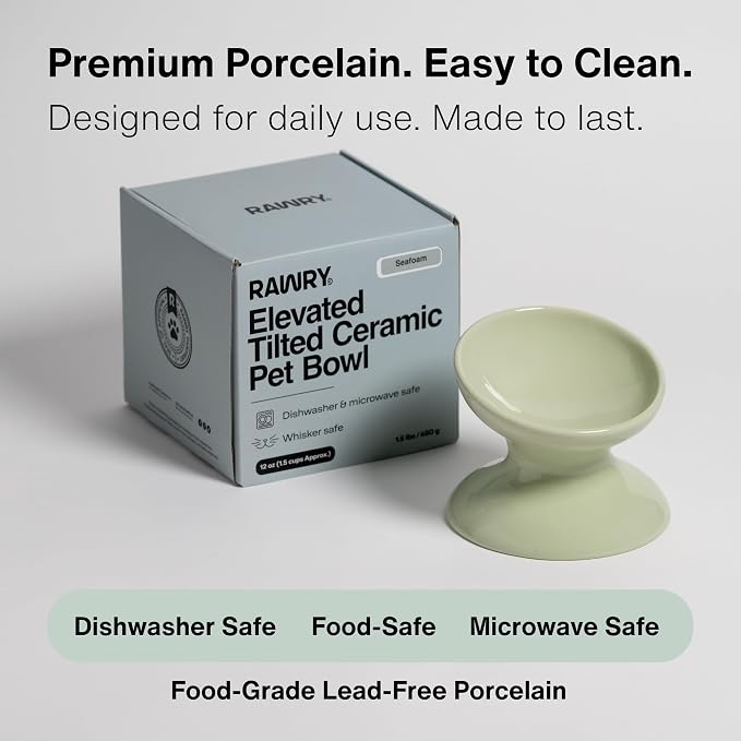 RAWRY Raised Ceramic Cat Bowl, Elevated Tilted Cat Bowl, Wide Shallow Cat Dish, Whisker Fatigue Cat Bowl, Dishwasher & Microwave Safe for Wet or Dry Food, Cats & Small Dogs, 12 oz (Seafoam)