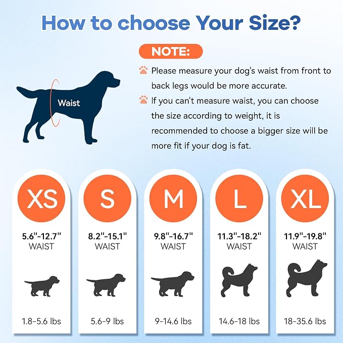 Disposable Dog Diapers Count Absorbent Soft Puppy Doggie Diapers for Female Dogs with Stretchy Waist Puppy Diaper in Heat Period Excitable Urination (M 10PCS)