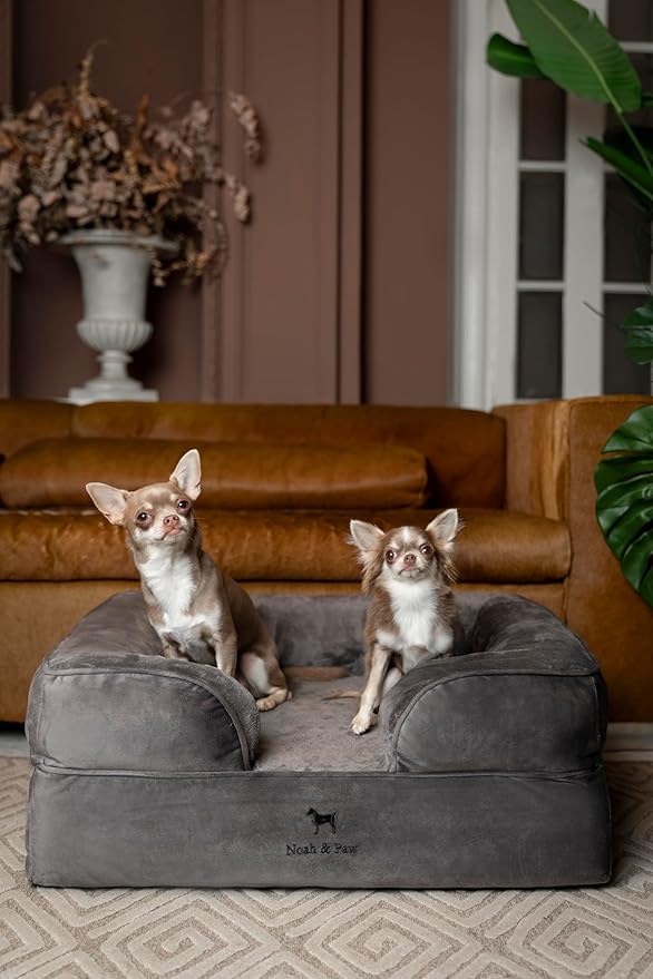 NOAH & PAW Dog Bed, 28x23x11 Inch, Orthopedic Dog Beds for Medium Size Pets, Eggshell Memory Foam Infused with Cooling Gel, Inner Cover, Water Resistant, Machine Washable (Velvet Sofa Collection)