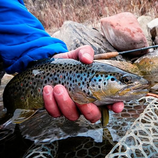 Wooden Frame Fly Fishing Net with Soft Rubber Mesh，Low-Weight Landing Net for Trout & Bass， Catch-and-Release Design for Stream and River Fly Fishing