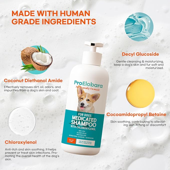 Medicated Dog Shampoo for Allergies and Itching: Antifungal Dog Shampoo, Yeast Infection and Bacterial Treatment for Dogs - Helps Hot Spots, Deodorizing and Anti Itch - Healthy Skin & Coat 16 OZ