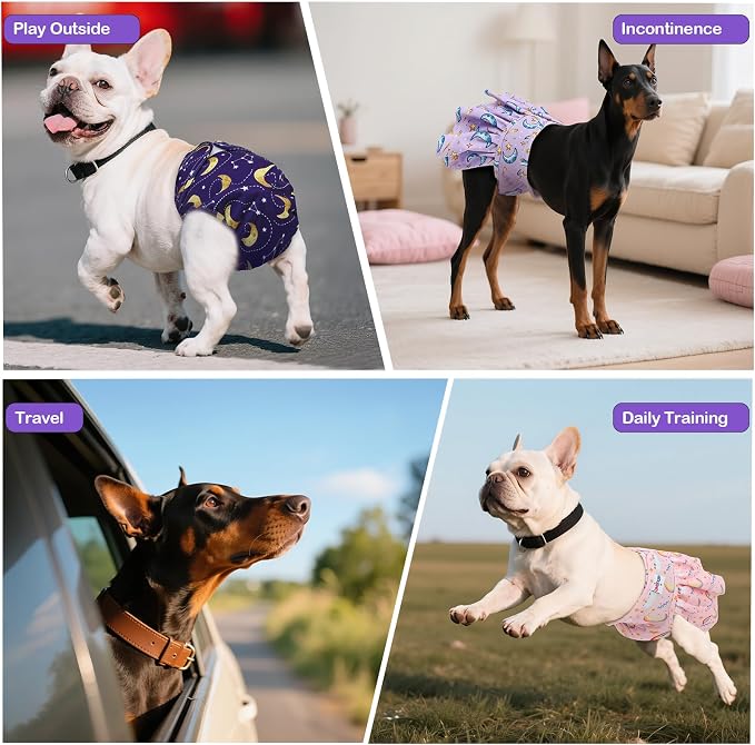 Female Dog Diapers Reusable No Tail Hole Period Panties Washable Diapers Female for Docked-Tail Frenchie French Bulldog Boston Terrier Without Tail (2 Pack Regular+2 Pack Skirts) U-WWDQB04S