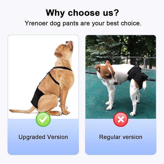 Female Dog Heat Pants with Harness Design - Anti-Slip, Anti-Mating, Reusable & Washable Underwear for All-Day Protection (Black, M)