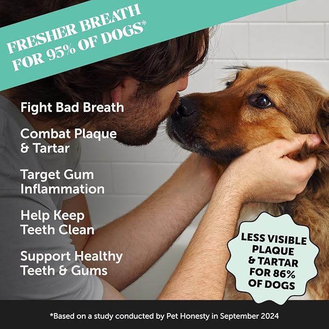 Virtual Bundle Allergy Support for Dogs + Dental Powder for Teeth Cleaning & Plaque Removal, Itch Relief, Skin & Coat Supplement with Salmon Oil & Probiotics