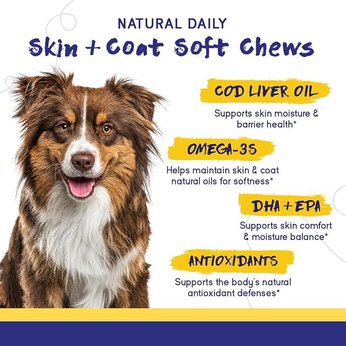 PupGrade Skin & Coat Soft Chew Supplement for Dogs – Supports Healthy Skin, Coat, and Immune Function - Rich in Natural Fish Oil, Omega Fatty Acids, and Vitamins – 180 Soft Chews