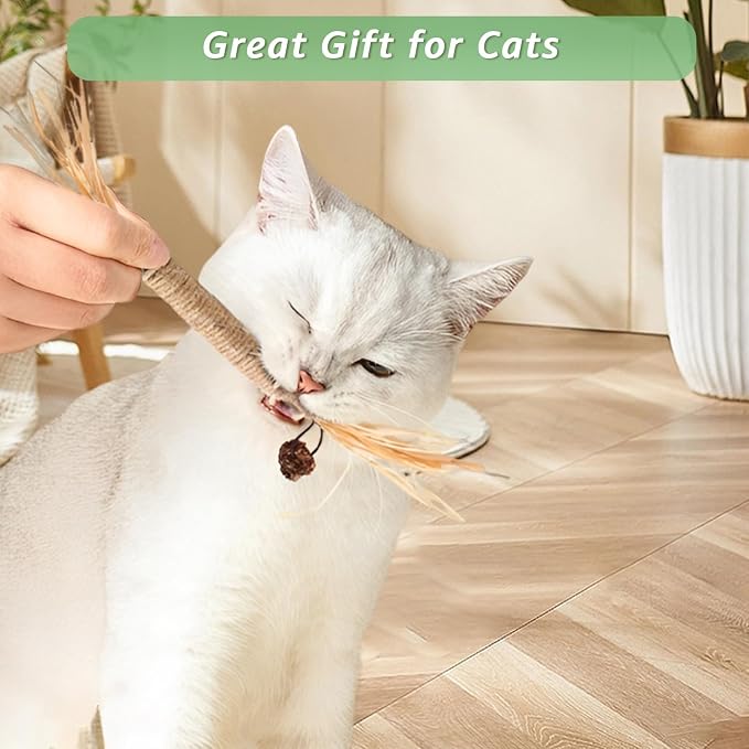 20Pcs Silvervine Sticks for Cats, Natural Cat Chew Toys, Nylatails Silvervine Dental Stick for Dental Care, Edible Matatabi Cat Chew Sticks for Teeth Cleaning, Kitty Toys for Indoor Cats