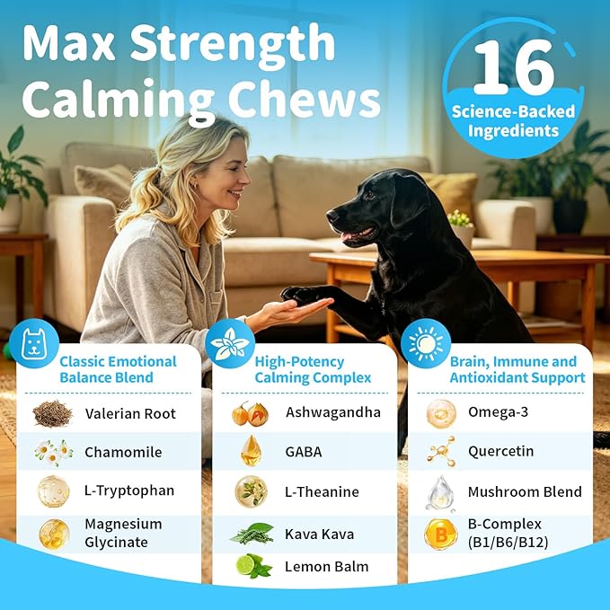 Calming Chews for Dogs - Advanced Calming Treats for Dogs Anxiety, Stress, Separation, & Thunder, Relaxation with Ashwagandha & L-Theanine, Non-Drowsy Alternative to Melatonin, Bacon Flavor, 90Ct