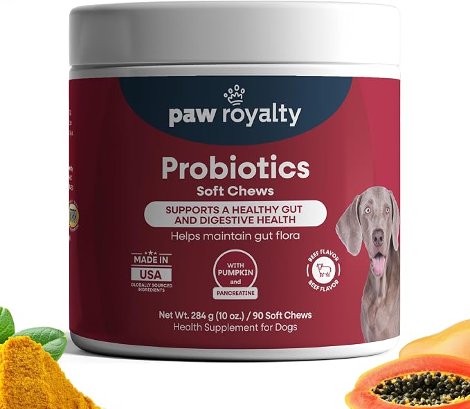 Probiotic Support for Dogs | Probiotics, Pumpkin, Papaya Enzyme, Marshmallow Root & Pancreatin for Digestive Health, Gut Balance & Stool Quality | Beef Flavor Soft Chews, 90 Count