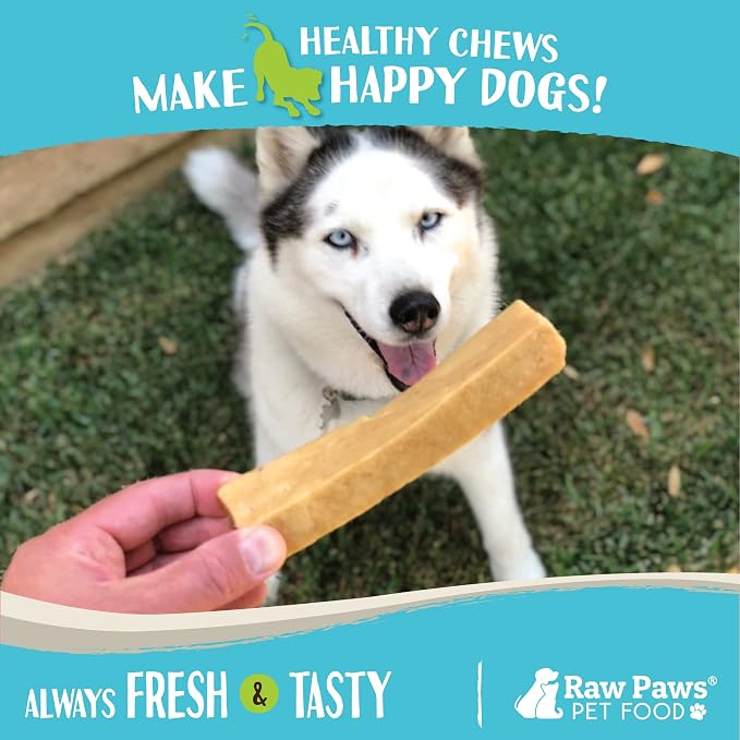 Raw Paws Himalayan Yak Chews for Dogs, Large (4 Pack) - Packed in USA - Tibetan Yak Cheese Dog Chews for Medium to Large Breeds - Hard Milk Dog Chew Bones - Single Ingredient - Long Lasting