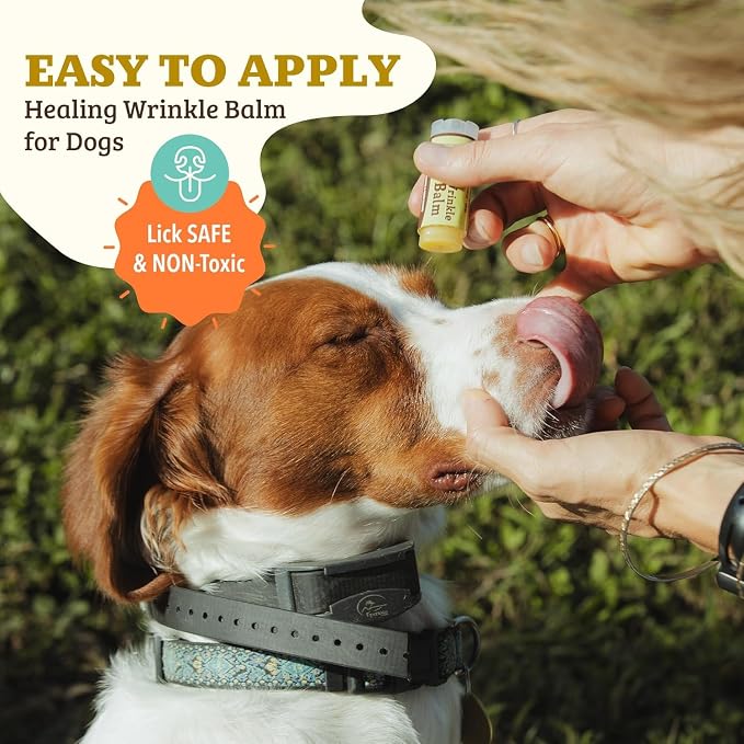 Natural Dog Company Wrinkle Balm Bundle, (1) 2 oz. Tin & (1) Travel Stick, Dog Dry Itchy Cream and Lotion, Moisturizes & Soothes Irritated Skin, Yeast Infection, Protects from Cracks & Wounds