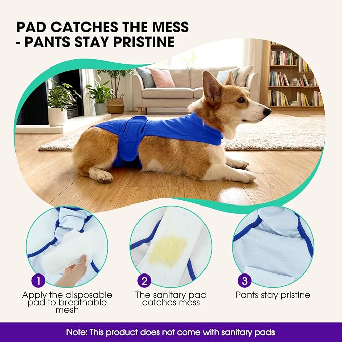 Dog Diapers for Female Dogs, Washable Reusable Female Dog Diapers, Leak Proof Doggie Underwear Sanitary Pants for Heat Cycle, Incontinence and Puppy Training, Adjustable Belly Bands- Blue 2XL