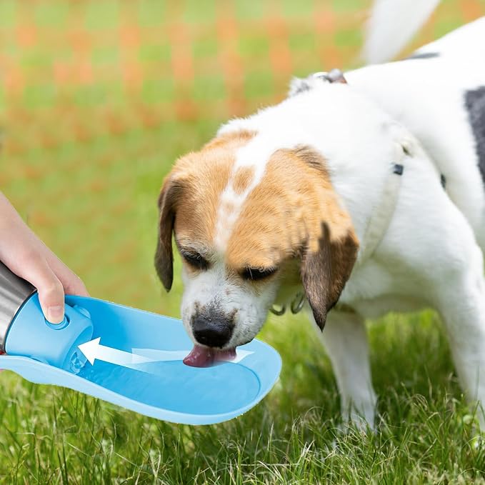 Dog Water Bottle, 27oz(750ml) Large Portable Dog Water Bottle, Dog Travel Water Bottle, Dog Water Bottle Dispenser, Stainless Steel Pet Travel Cup Outdoor Dog Water Bowl Bottle (Light Green)