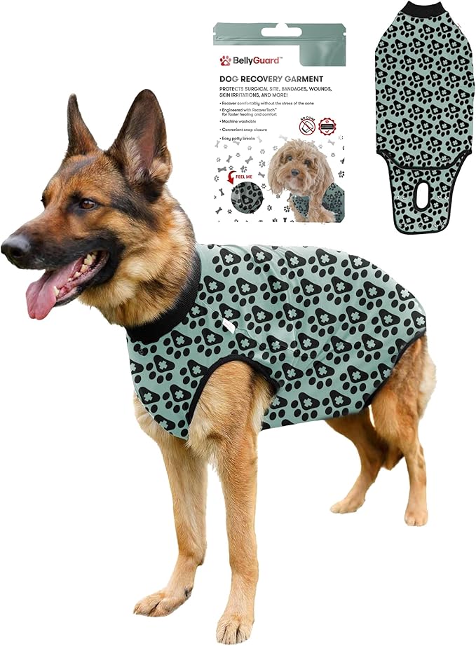 BellyGuard Dog Surgery Recovery Suit, Post-Op Dog Recovery Suit for Female Spay & Male Neuter, Comfy Onesie for Pets, Surgical Body Cover for Canine Healing Support
