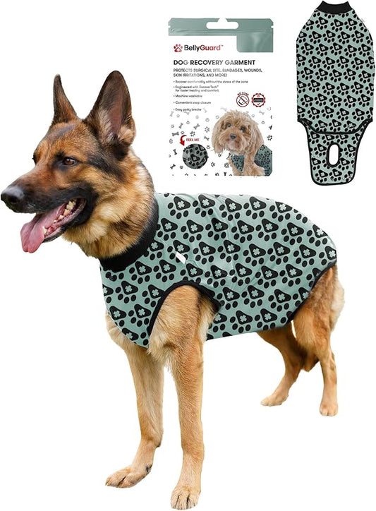 BellyGuard Dog Surgery Recovery Suit, Post-Op Dog Recovery Suit for Female Spay & Male Neuter, Comfy Onesie for Pets, Surgical Body Cover for Canine Healing Support