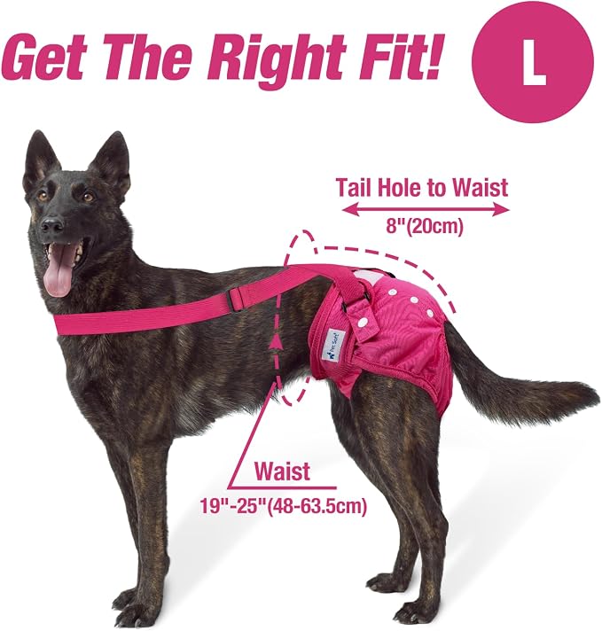 Pet Soft Dog Diapers Female with Suspenders, 3 Pack Reusable Female Dog Diapers for Heat, Dog Period Panties for Doggie in Cycle(Large, Berry Mix)