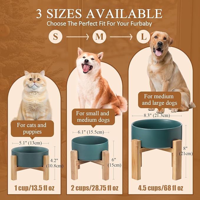 LIONWEI LIONWELI Ceramic Raised Dog Bowls, Medium - Set of 2 - Non Slip Wood Stand - Anti Vomiting - 850 ml - White