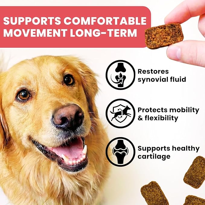 Hip & Joint Supplement for Dogs - Glucosamine Chondroitin MSM & Green Lipped Mussel Soft Chews - Dog Joint Pain & Mobility Support for Senior & Large Breed Dogs, Duck Flavor, 60 Count