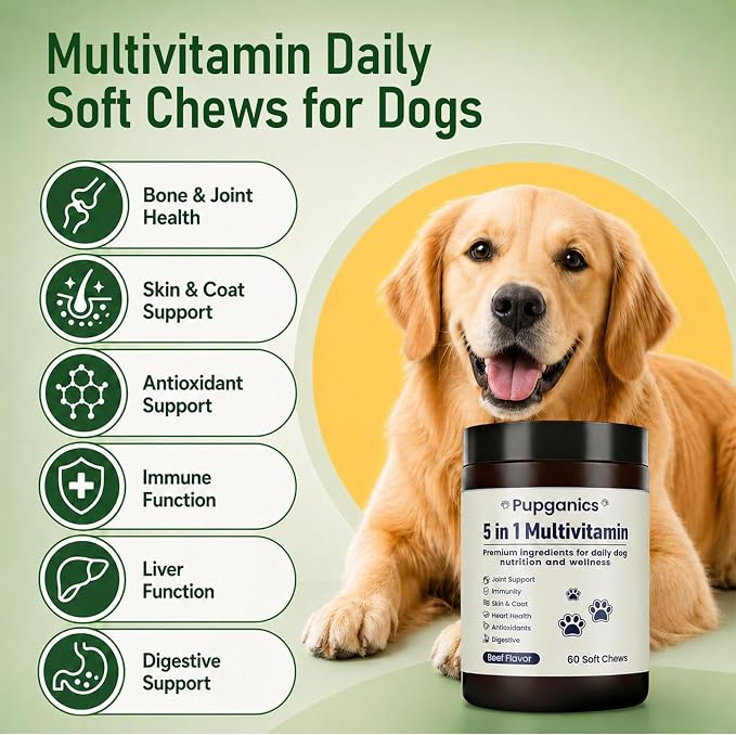 Pupganics Multivitamin Daily Soft Chews for Dog, 5 in 1 multivitamin for Hip & Joint, Heart Health, Skin & Coat, Gut & Immune Support, with Probiotics, Vitamin A/D3/E, Beef Flavor, 60 Chews (1)