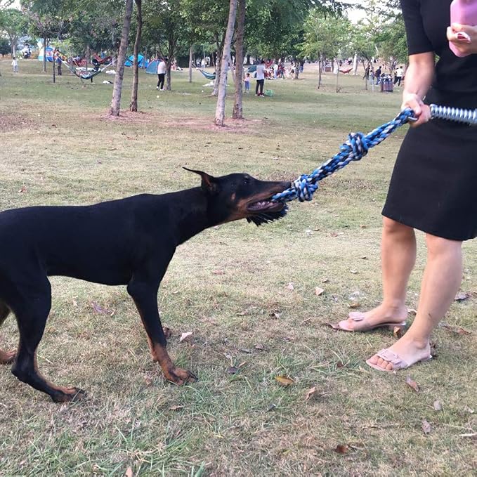 SIXRUN Spring Pole Dog Rope Toy, Rust Proof Steel, Muscle Building, Outdoor Tug of War Exercise, 38.97 Inch, for Large Dogs