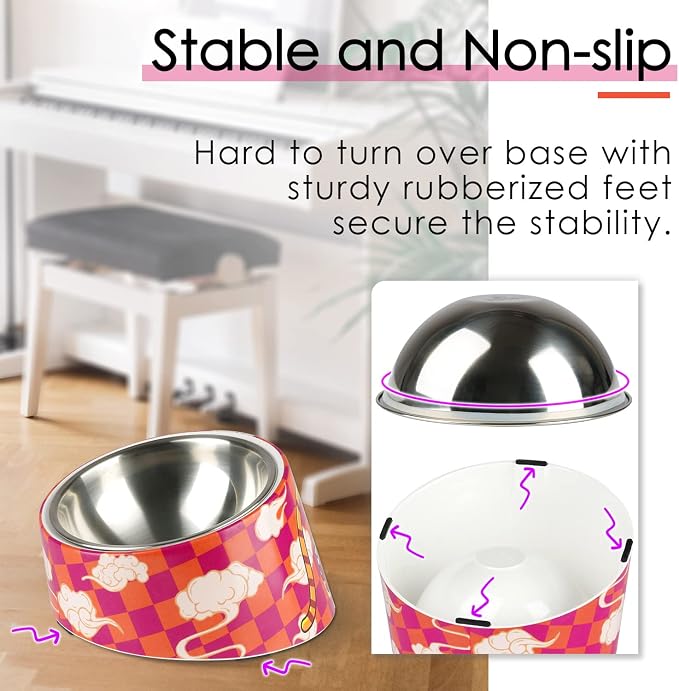 Super Design Mess Free 15° Slanted Bowl for Dogs and Cats, Tilted Angle Bulldog Bowl Pet Feeder, Non-Skid & Non-Spill, Easier to Reach Food