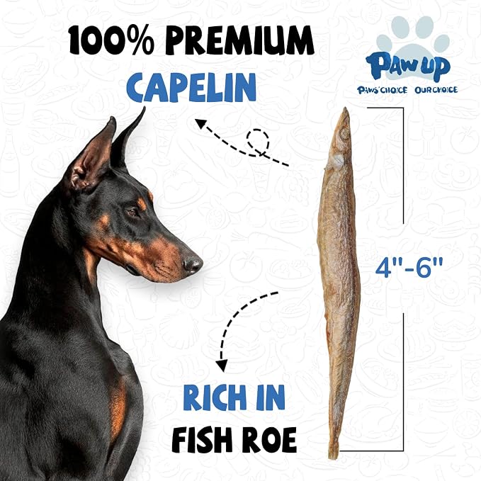 PAWUP Freeze Dried Capelin & Minnows Dogs Treats – Raw Single Ingredient Dog Fish Snacks, Rich in Omega-3 for Skin & Coat Health, Grain Free, 3.5oz