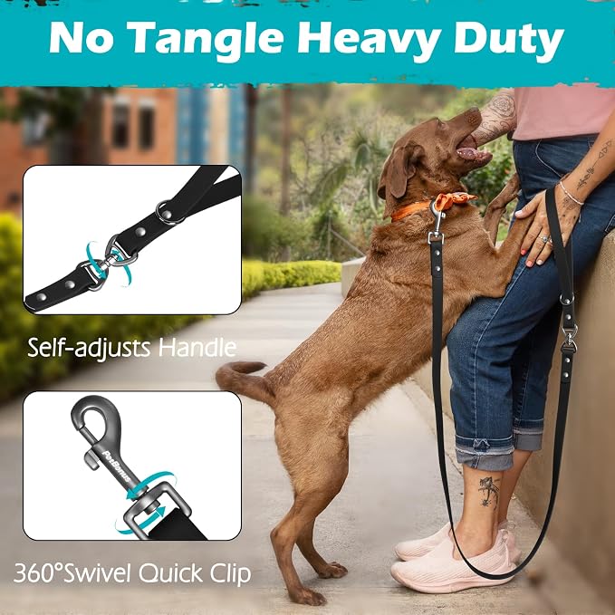 PetBonus 5 FT Waterproof Dog Leash and 2-Pack Silicone Collapsible Dog Bowls