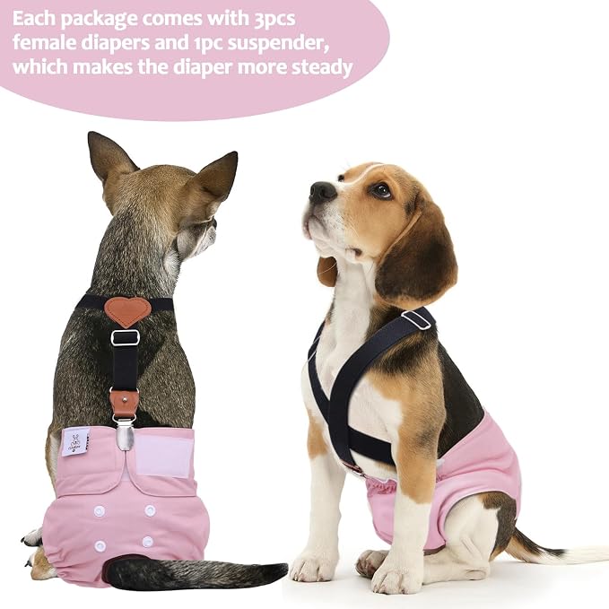CuteBone Dog Diapers Female 3 Pack Reusable Doggy Diapers with One Suspender for Small Medium Large Dog Period BDD04L