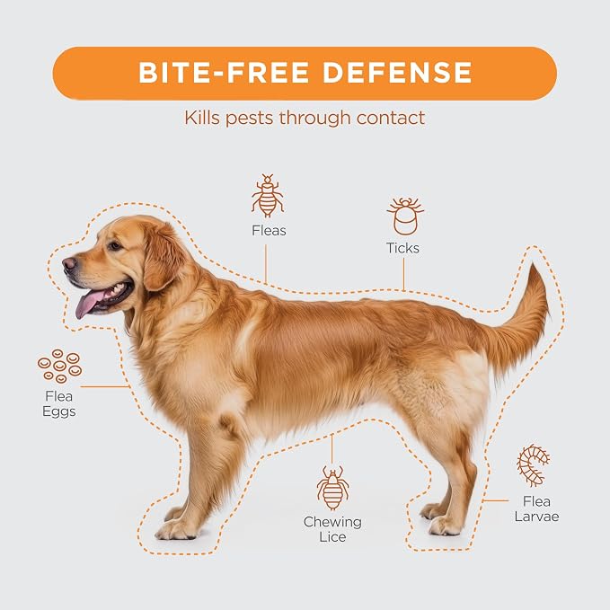FirstAct Plus Flea Treatment for Dogs, Small Dogs 6-22 lbs, 3 Doses, Same Active Ingredients as Frontline Plus Flea and Tick Prevention for Dogs