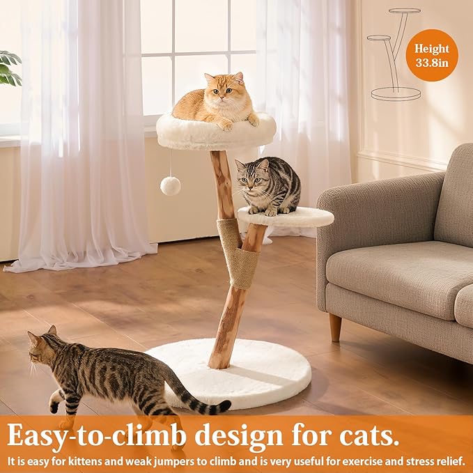 YOCAN Modern Cat Tree Tower for Indoor Cats, 2-Tier Cat Furniture with Natural Wood Posts, Soft Plush Bed, Scratching Post & Hanging Ball Toy, Stylish Cat Climbing Tower