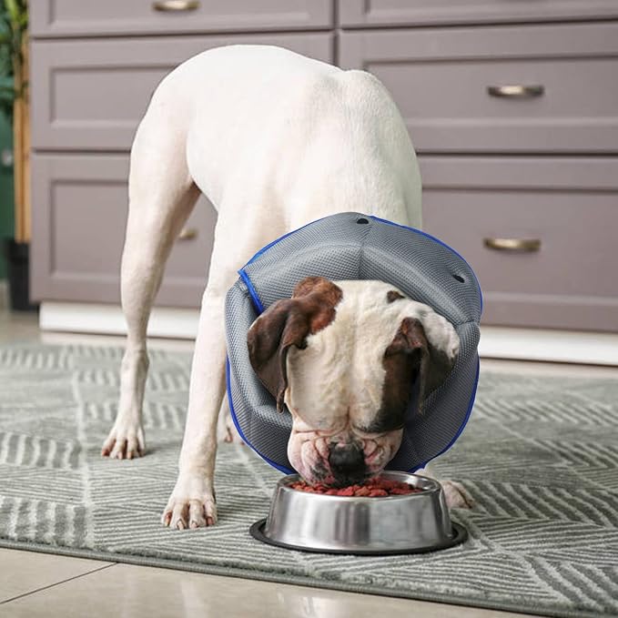 Soft Dog Cone Collar Alternative to Stop Licking,Comfort Recovery Collar for Large, Medium,Small Dogs,Adjustable Elizabethan Collar Alternative,Dogs Recovery Collar After Surgery,Blue,XL