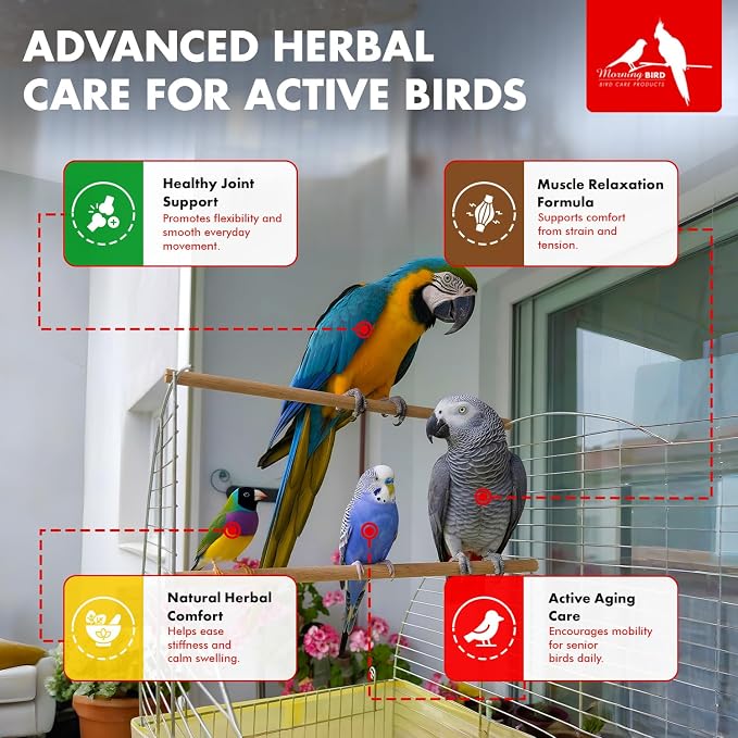 Morning Bird Joint & Mobility 1 fl oz – Herbal Liquid Supplement for Birds – Supports Joint Health, Muscle Comfort & Mobility – Ideal for Aging or Recovering Birds