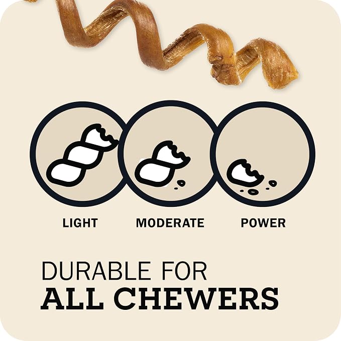 Redbarn Bully Spring Dog Chews 4"-6" 3-Count- 100% Natural Single Ingredient Beef Pizzle Spiral Sticks for Medium to Large Dogs - Rawhide Free Long Lasting Dental Chews