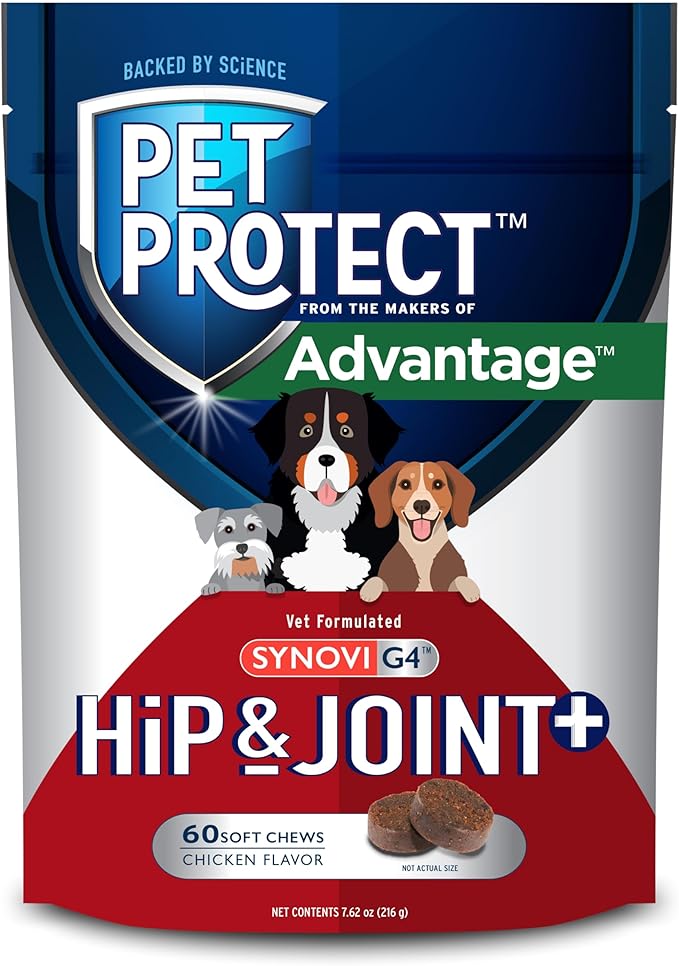 Pet Protect Dog Hip & Joint+ Supplement for Active & Aging Dogs, Vet-Formulated Synovi G4, Dog Glucosamine, Chicken-Flavored Soft Chews (60 Count)
