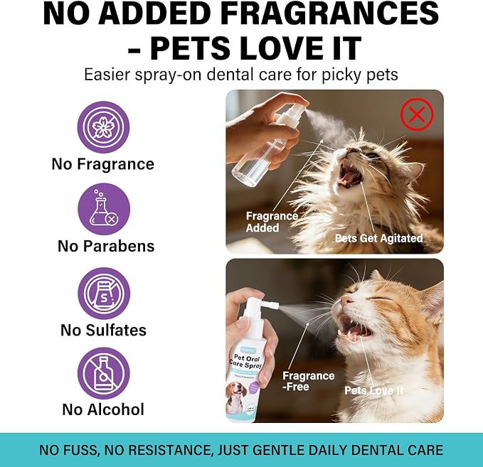 Dog & Cat Dental Care Bundle