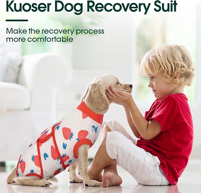 Kuoser Dog Recovery Suit After Surgery, Dog Surgery Suit Female Spay, Male Neuter, Anti-Licking Pet Onesie, Surgical Recovery Bodysuit for Abdominal Wounds,Skin Disease, E-Collar Cone Alternative, 2XL