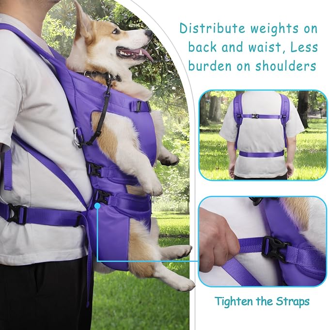 PetBonus Pet Front Dog Carrier Backpacks, Adjustable Pet Backpack, Legs Out Easy-fit Puppy Chest Carrier for Medium Small Dogs, Hands Free for Hiking, Cycling (Purple, L)
