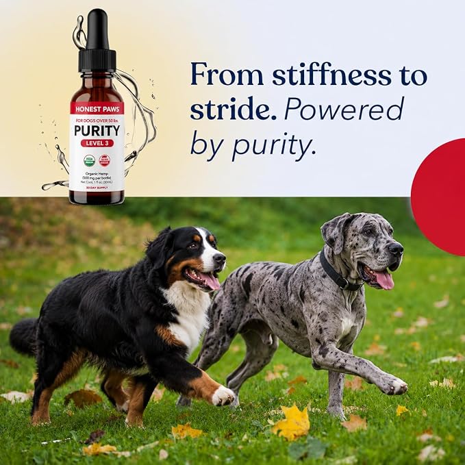 Honest Paws Hemp Oil for Dogs - Natural Hemp Seed Oil Drops Rich in Omega 3 6 9 - May Help Support Calm Behavior, Physical Comfort & Overall Wellness - Made in USA