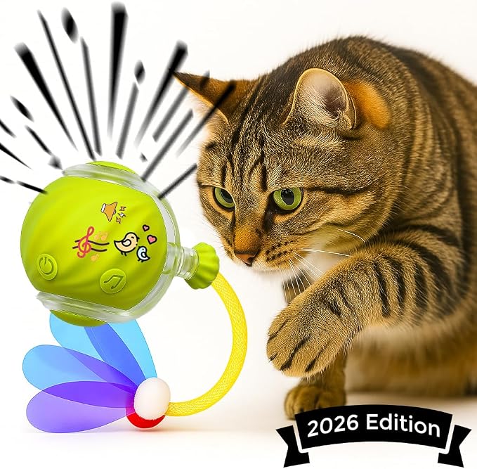 Cat Toys for Indoor Cats – 2X Automatic Kitten Interactive Toy with Speedy Ball Tail as Pet Mental Stimulation - 2-Set Bundle - 2026 Edition (Random Color)