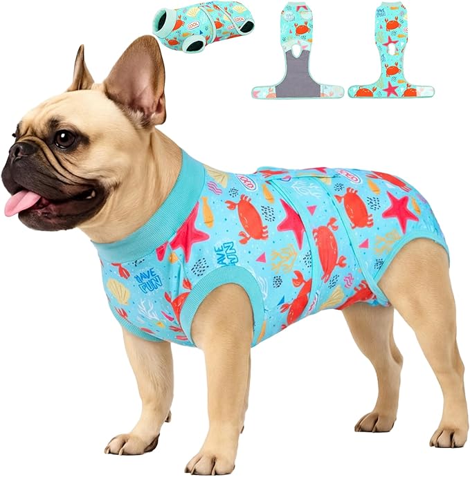 PetWarm Recovery Suit for Dogs, Surgical Suit for Dogs Female Spay Male Neutered, Dog Onesie for Surgery, Anti-Licking Dog Surgery Recovery Suit, Marine Animal Patterns, Green, XS
