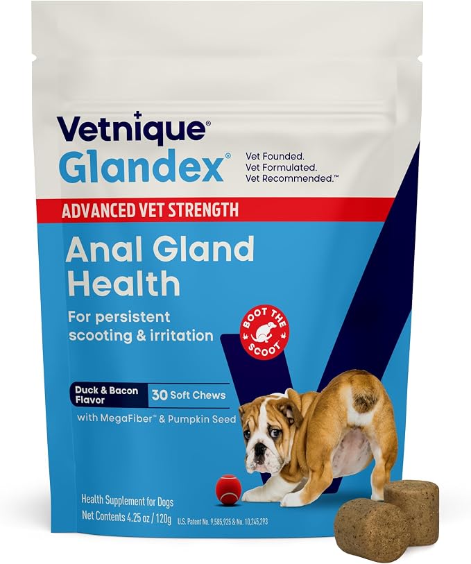 Vetnique Glandex Anal Gland Health Soft Chew Treats with Pumpkin for Dogs Digestive Enzymes, Probiotics Fiber Supplement for Dogs Boot The Scoot (Advanced Strength Duck/Bacon, 30 Count)