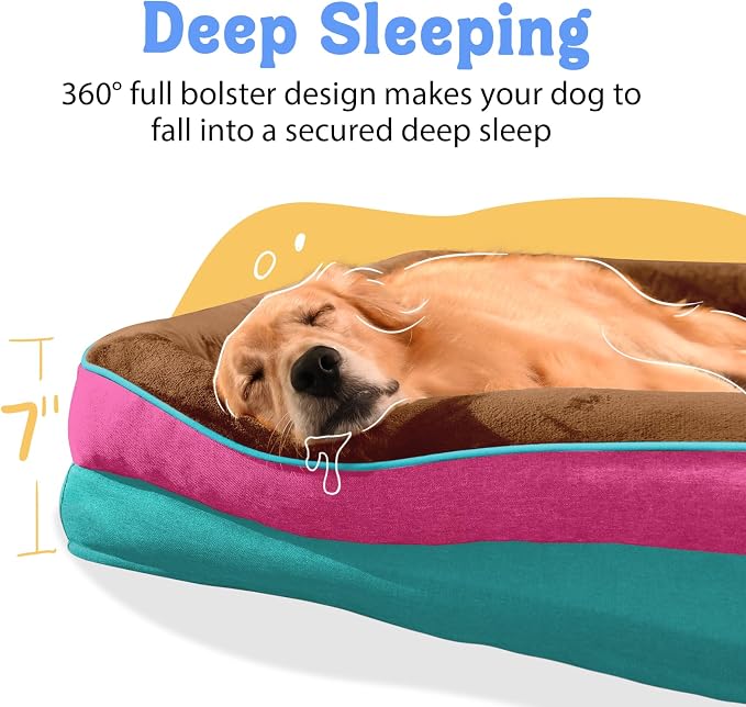 Chez Paw Large Orthopedic Dog Bed for Extra Large Dogs, Waterproof XL Egg-Crate Foam Dog Bed with Removable Washable Cover & Non-Slip Bottom, 4-Sided Bolster Support, Brown Mint 42"x30"x7.5"