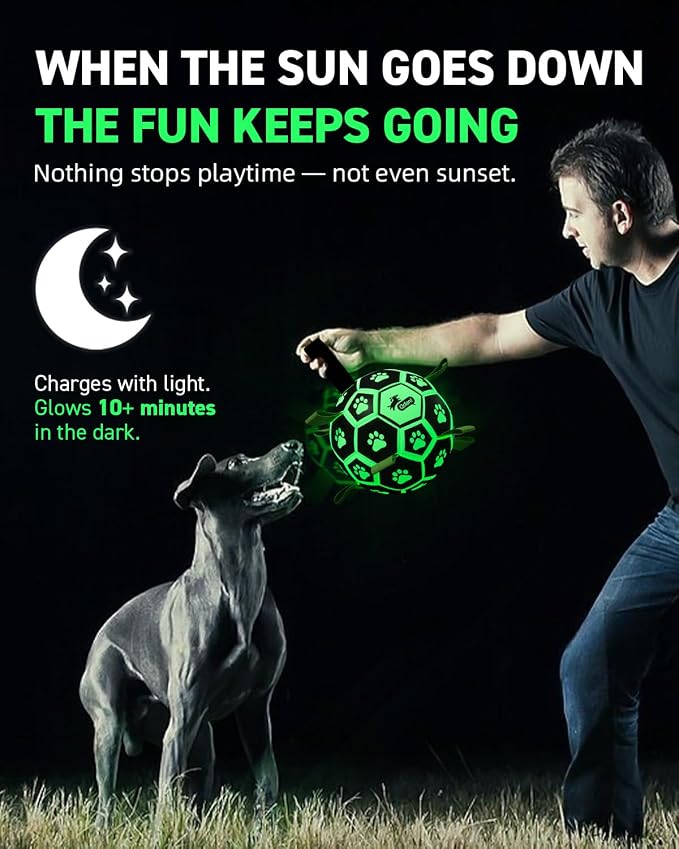 QDAN Premium Glow in The Dark Dog Toys, Dog Ball with Straps, Soccer Ball for Dogs, Outdoor Dog Toys, Pet Birthday Toys, Puppy Essentials for Medium to Large (8Inch)